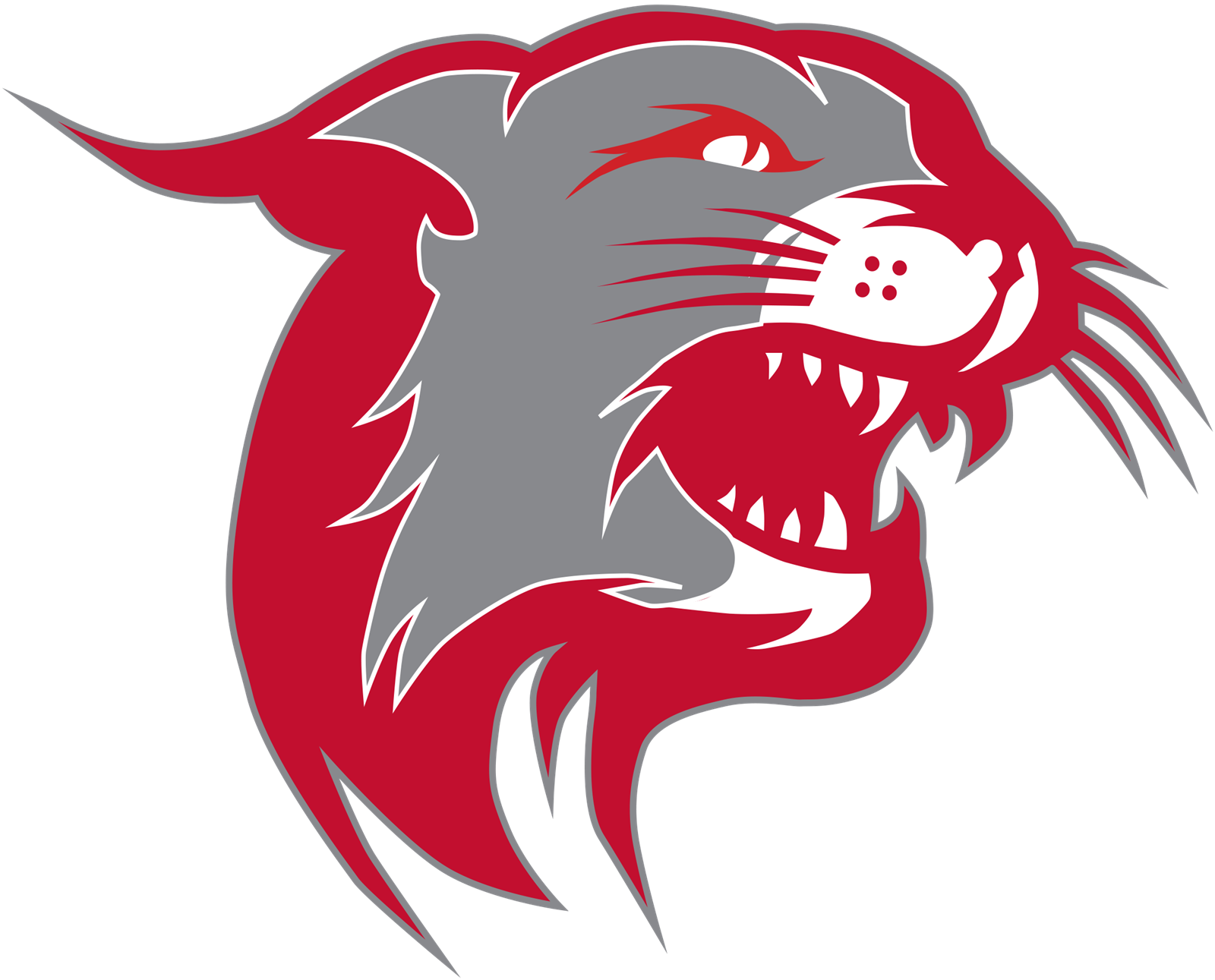 Wildcat Wildcat